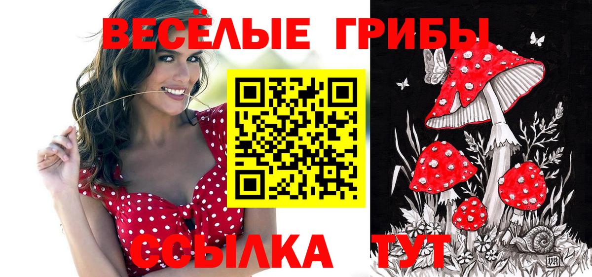 Псилоцибиновые грибы Psilocybe  Псилоцибиновые грибы ЛСД  Корсаков  Вход с VPN 