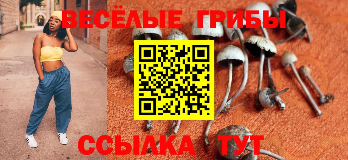 Псилоцибиновые грибы ЛСД Корсаков