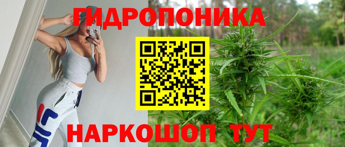 Каннабис индика Корсаков